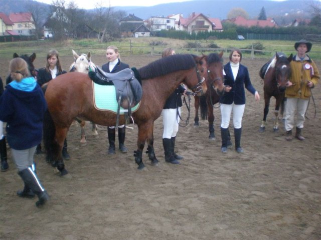 Hubertus 2010